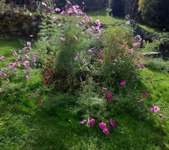 Holiday home Pouradou Connangles